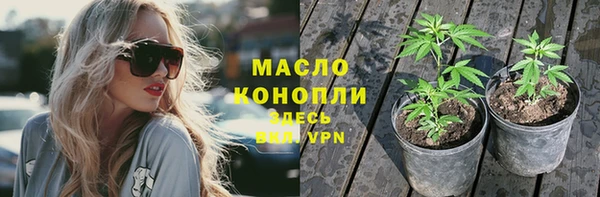 гашик Липки