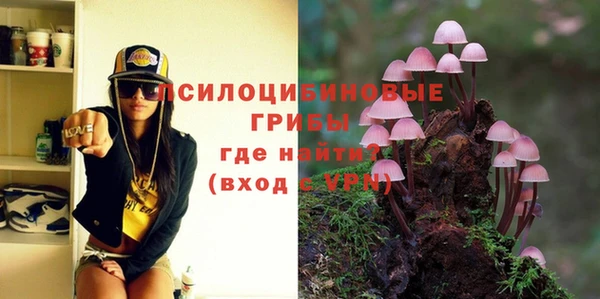 гашик Липки