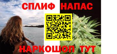 ПСИЛОЦИБИНОВЫЕ ГРИБЫ Камышлов