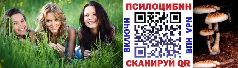 как найти наркотики  Лесосибирск  Псилоцибиновые грибы GOLDEN TEACHER 