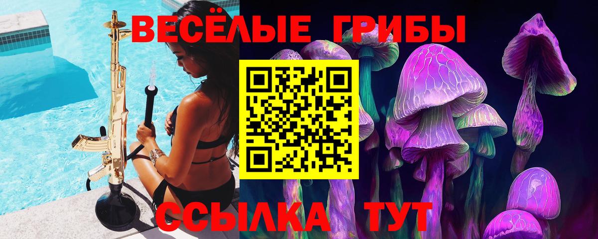 Лесосибирск  Псилоцибиновые грибы MAGIC MUSHROOMS  Вход с VPN 